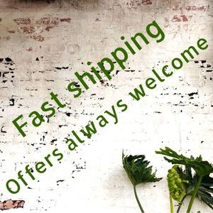 Same or next business day shipping. 💫